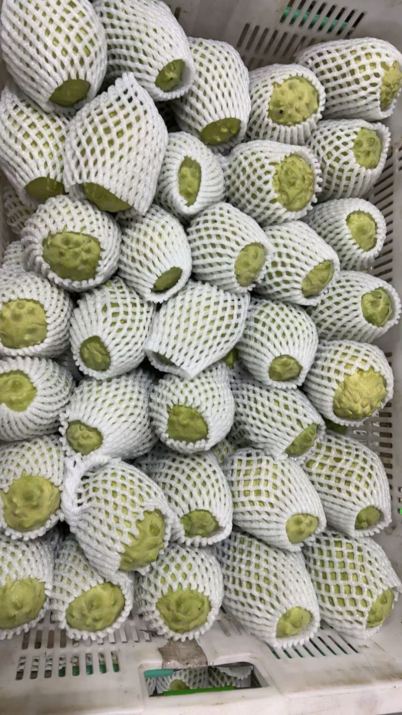 释迦果可以包邮，可以批发价，需要的联系***********
