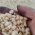 黏玉米粒