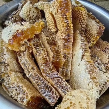 自己土蜂蜜