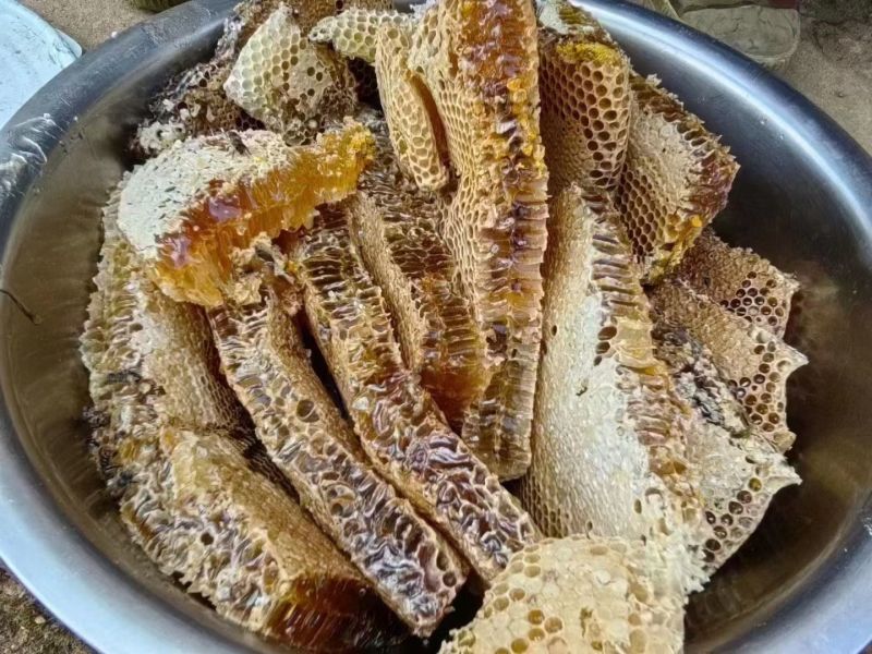 自己土蜂蜜