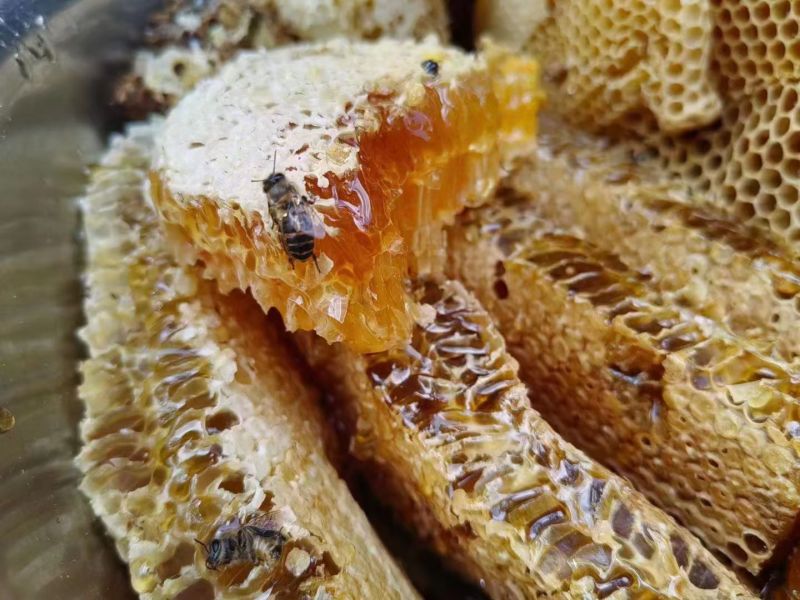 自己土蜂蜜