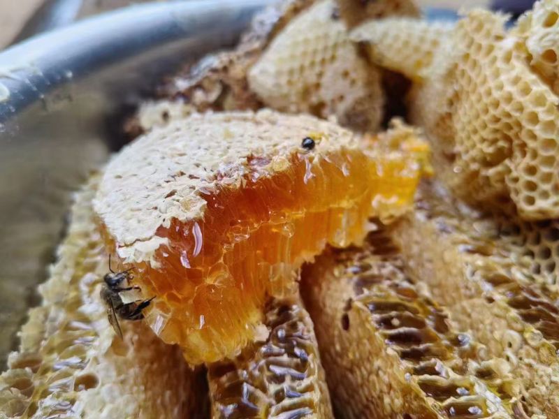 自己土蜂蜜