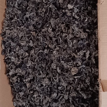 东北黑木耳河南红段椒