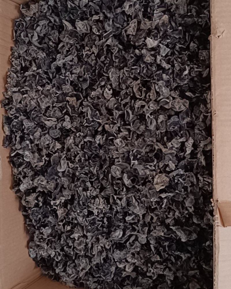 东北黑木耳河南红段椒