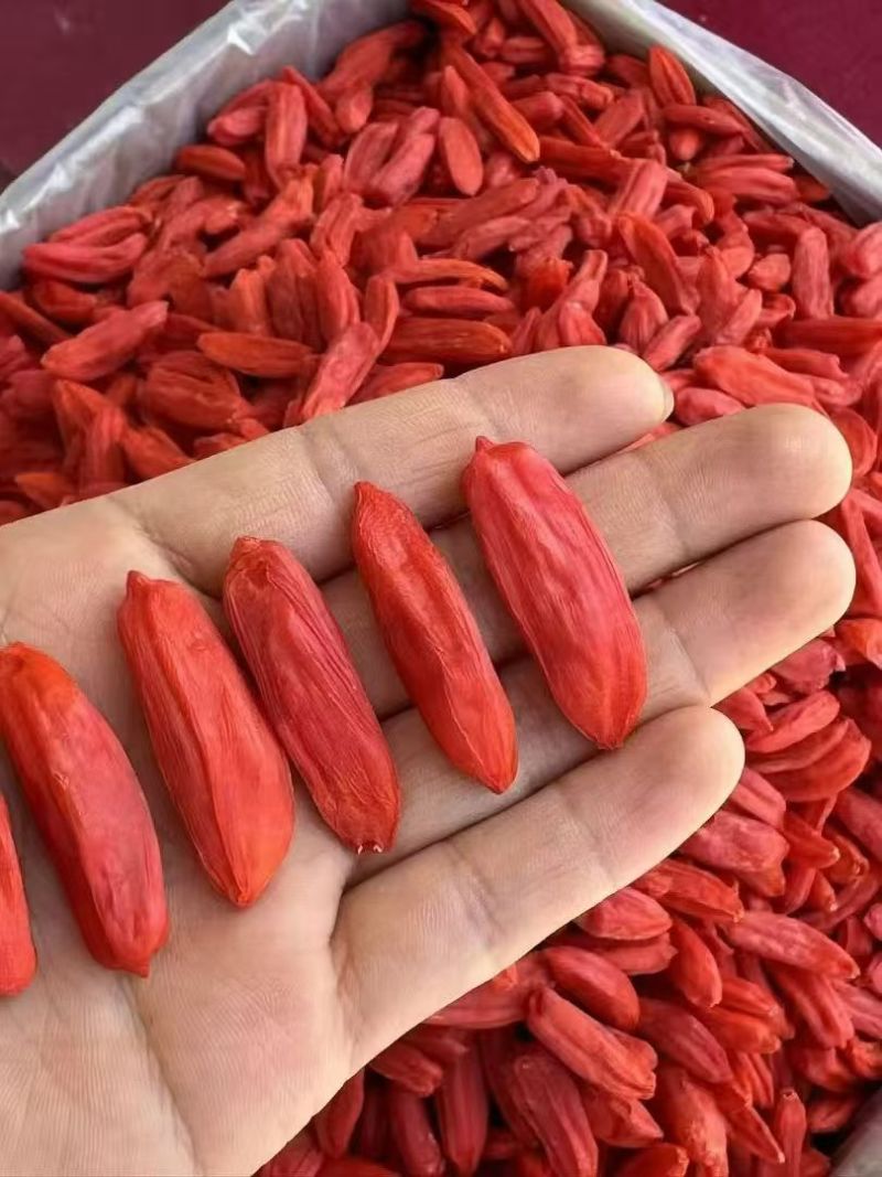枸杞