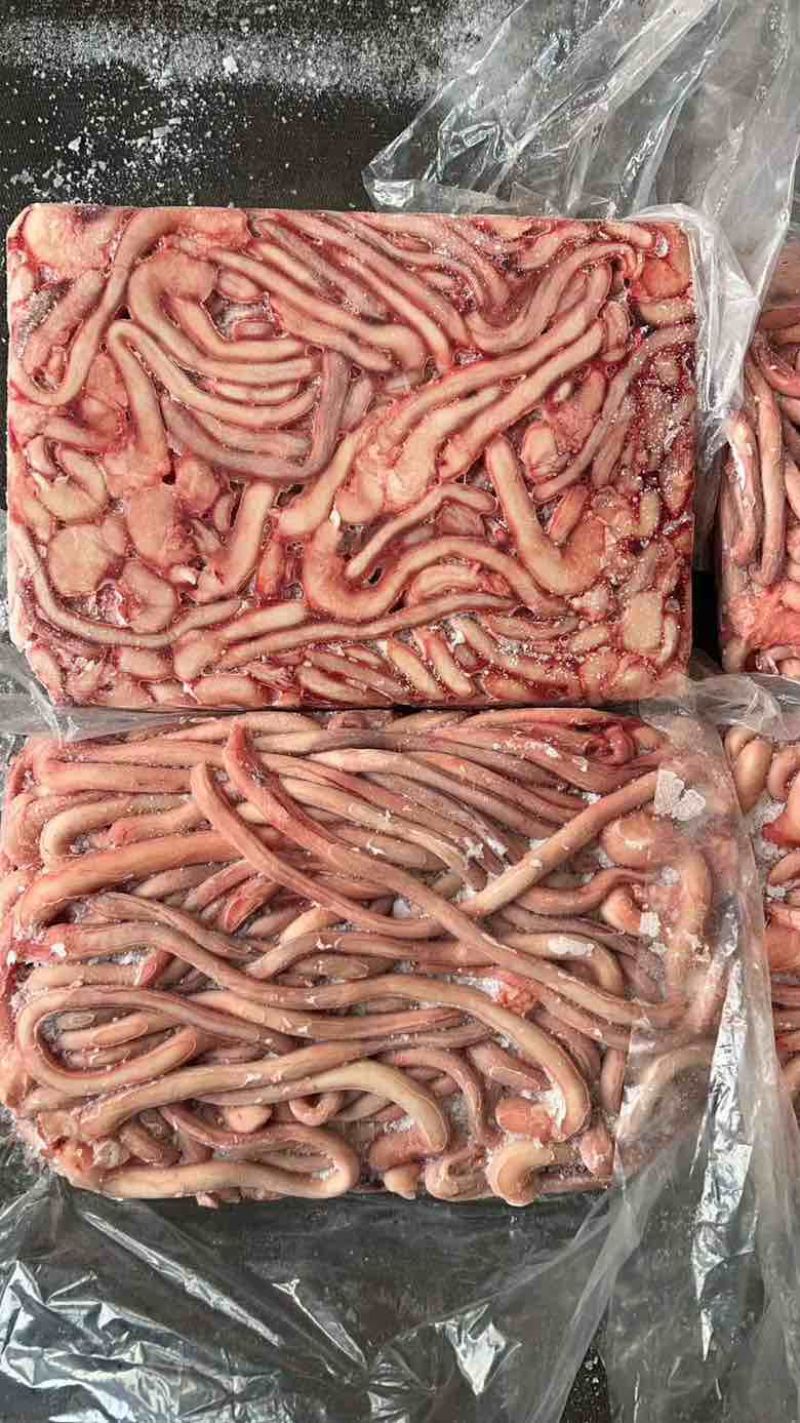 猪鞭，龙大猪鞭