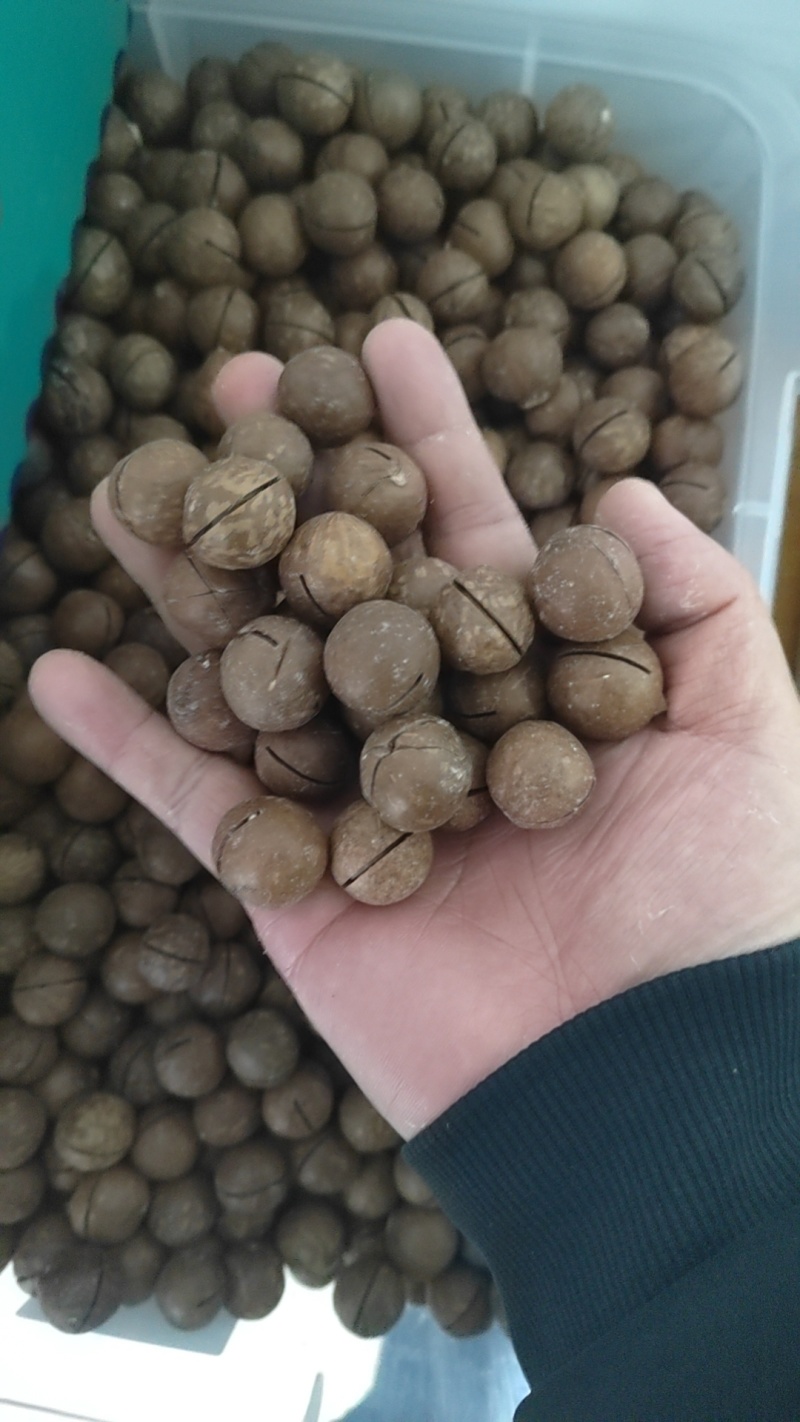 夏威夷果工厂直销，专业承接一件代发，欢迎实地考察