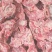 满肉羊蝎子