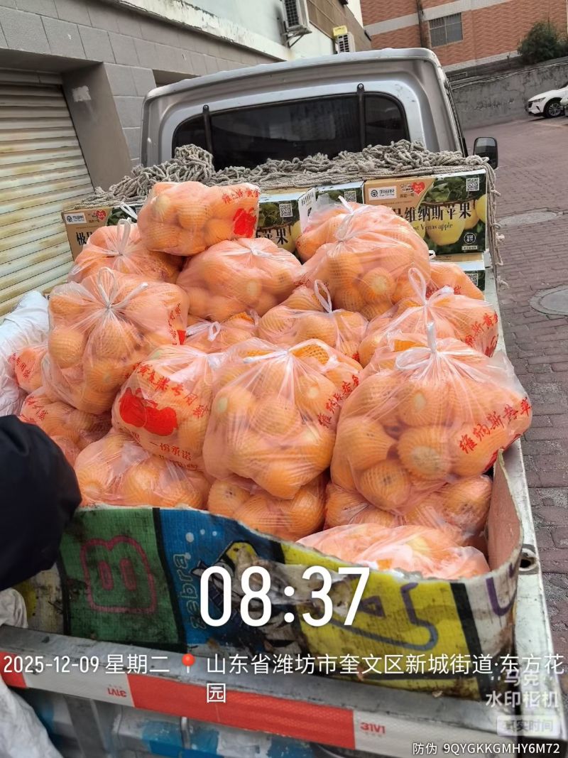 维纳斯黄金苹果