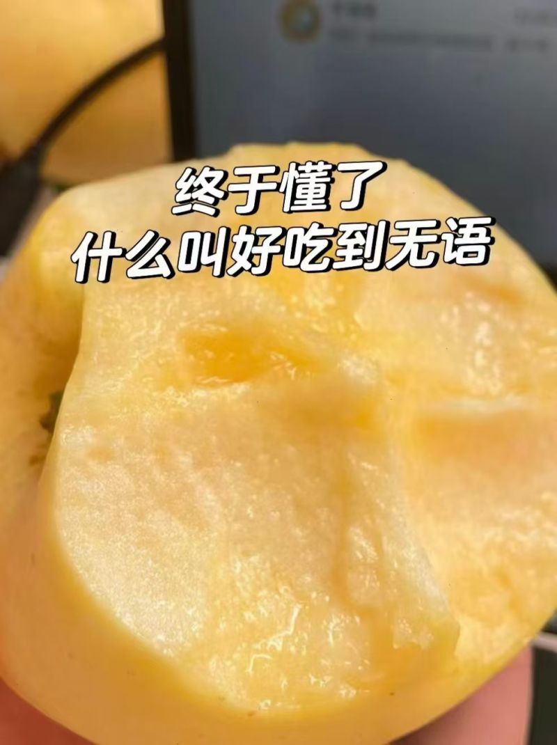维纳斯黄金苹果