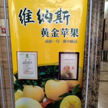 维纳斯黄金苹果
