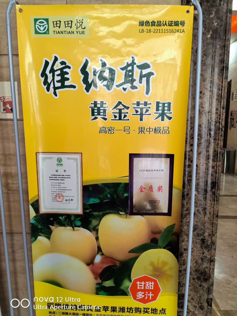 维纳斯黄金苹果
