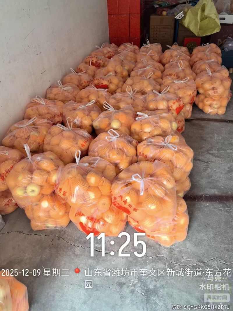 维纳斯黄金苹果