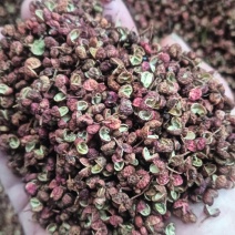 山东花椒