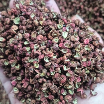 山东花椒