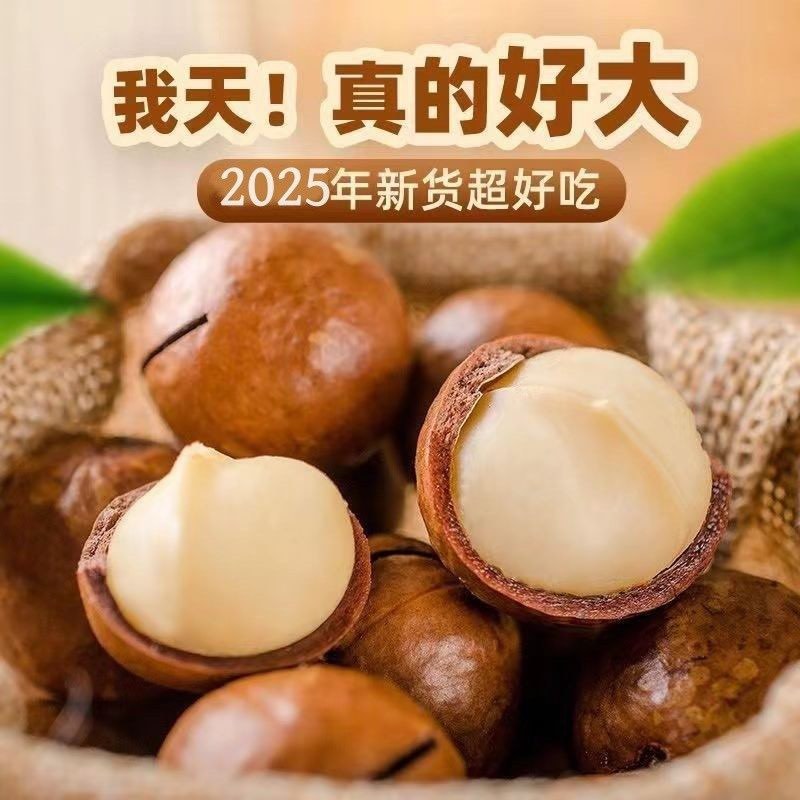 云南夏威夷果支持一件代发批量拿货实地考察报销路费