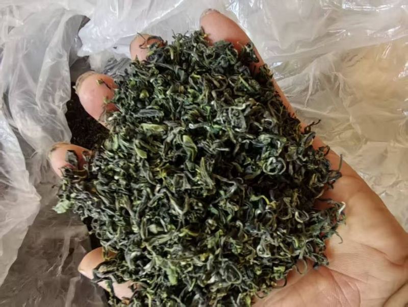 忙里偷闲，日照绿茶伴你漫时光欢迎各位老板亲临
