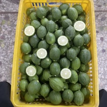 香水柠檬