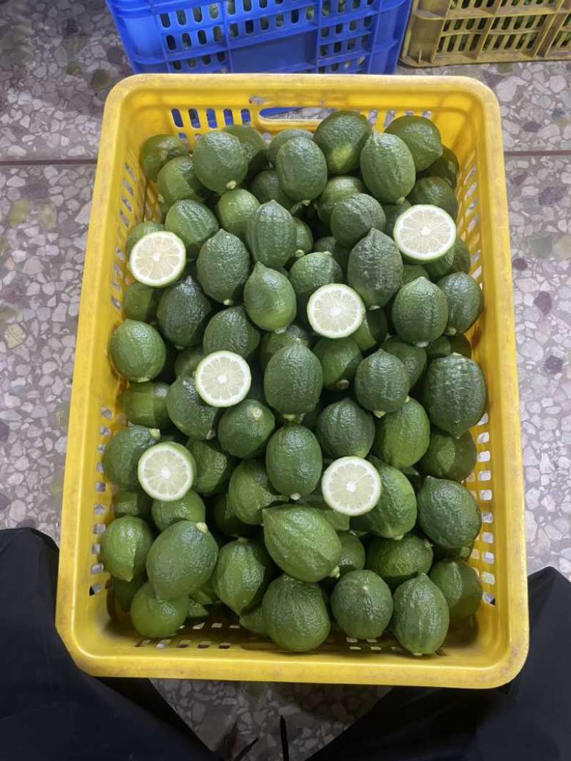 香水柠檬