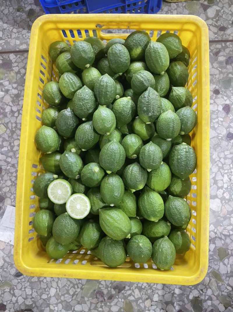 香水柠檬
