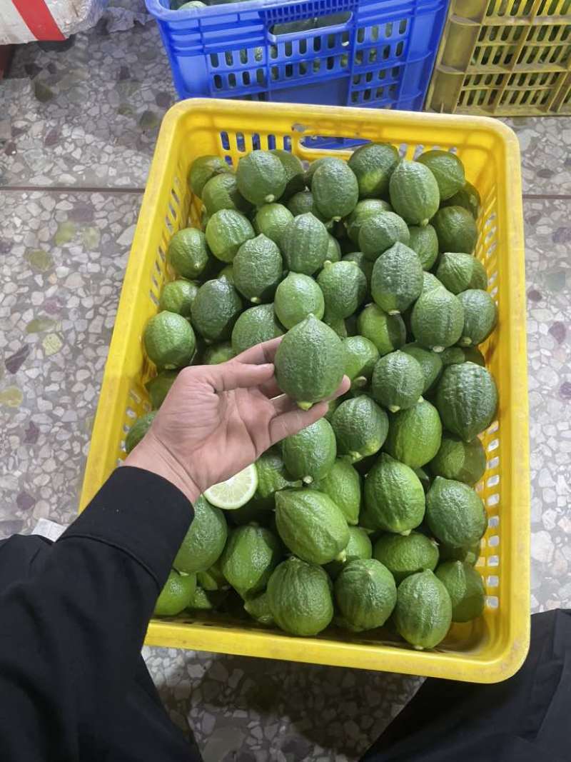 香水柠檬