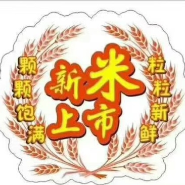 石板大米