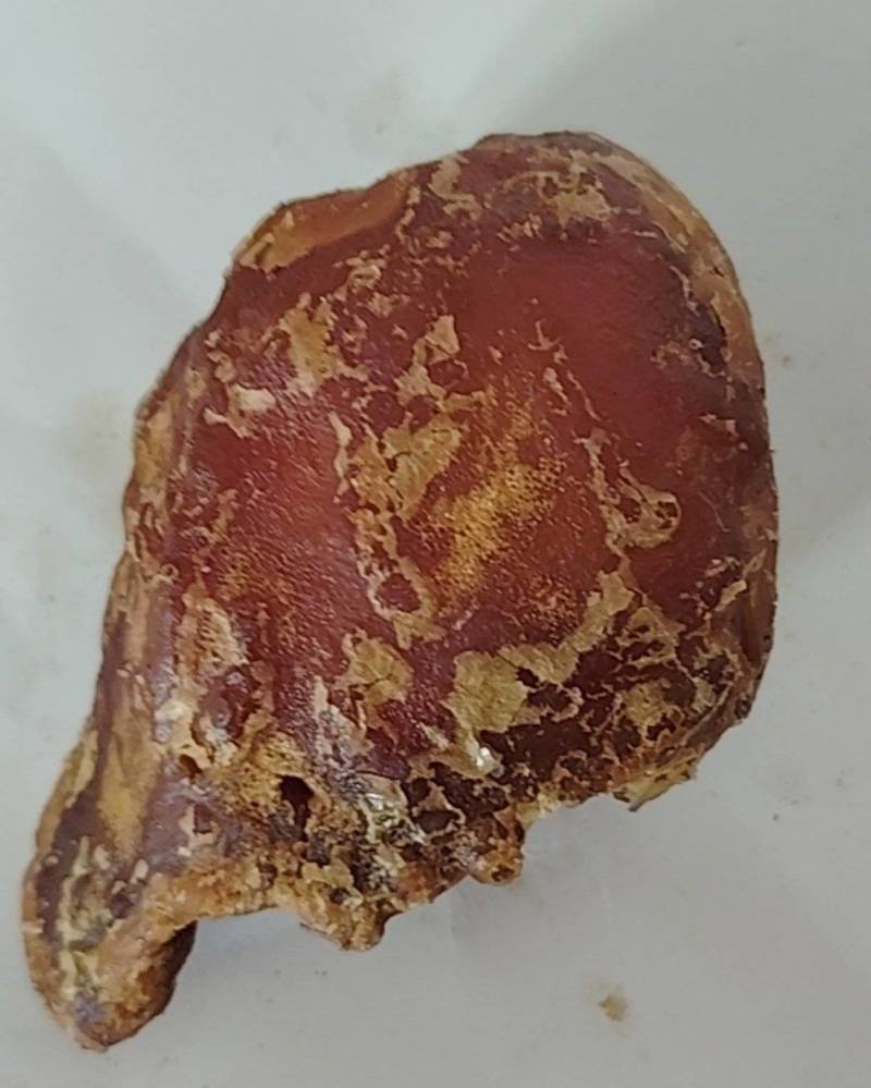 鸡宝，自己鸡内取出的