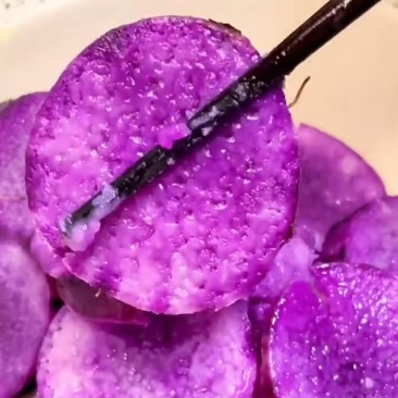 紫玉淮山药