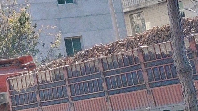 江西省吉安市永丰县石马镇东湖村华赞农场