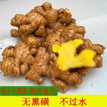 贵州小黄姜