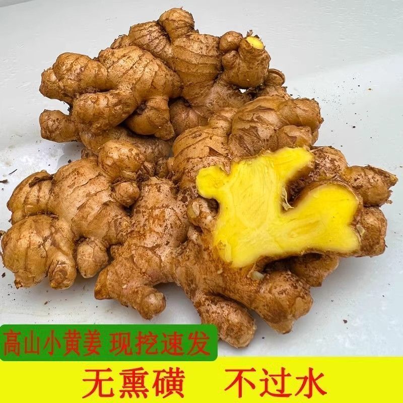 贵州小黄姜