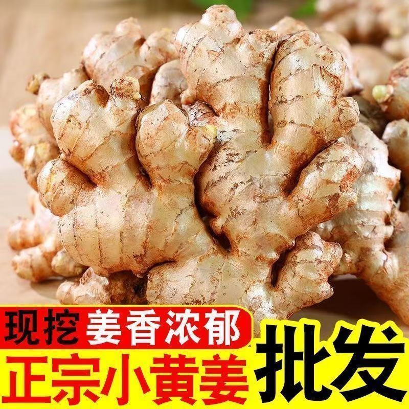 贵州小黄姜