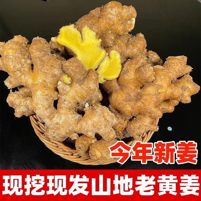 贵州小黄姜