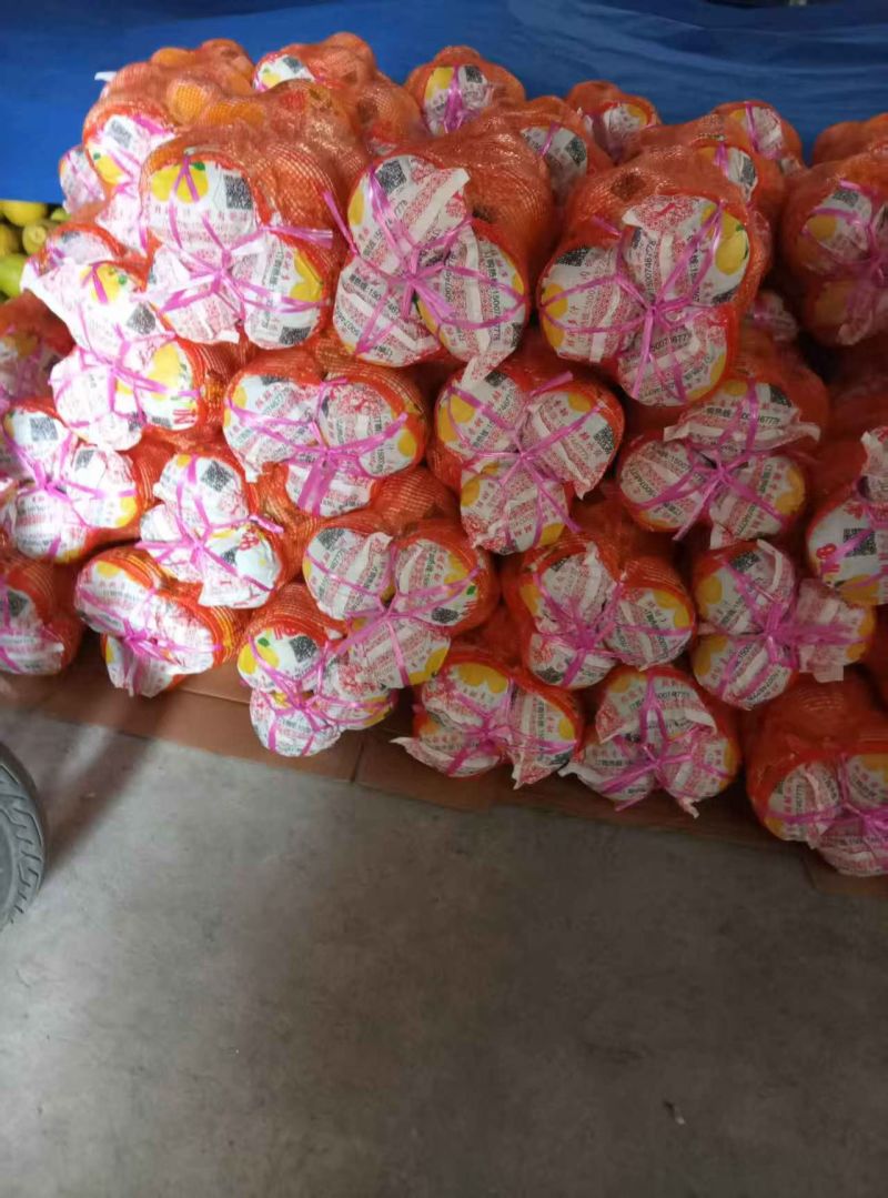 湖南江永香柚