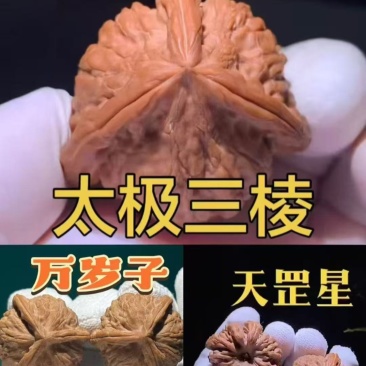 三棱接穗下了出棱概率百分之7.8。出奔能达到百分之90