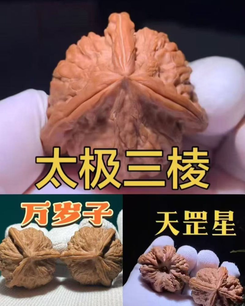 三棱接穗下了出棱概率百分之7.8。出奔能达到百分之90