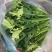 油菜苔