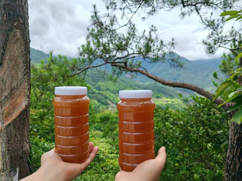 岭南瑰宝-高山鸭脚木农家冬蜜，价格优惠欢迎采购