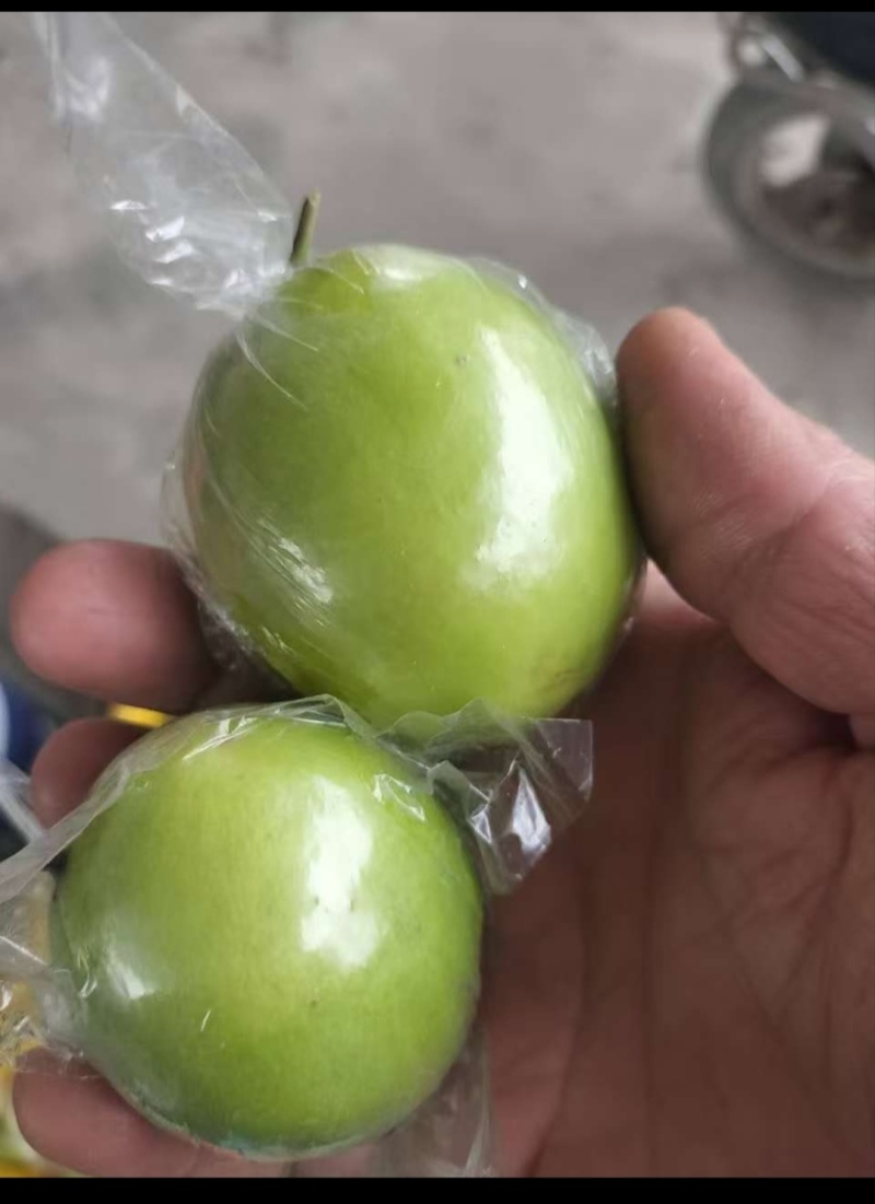平南大青枣