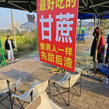 甘蔗