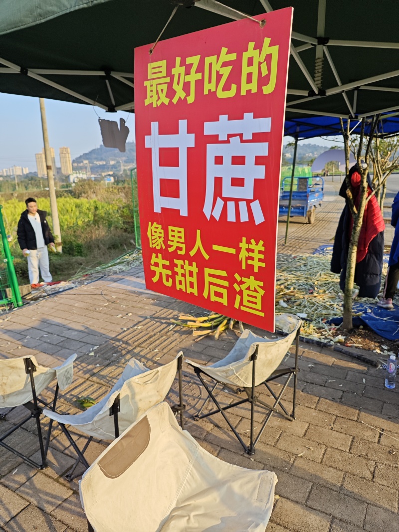 甘蔗