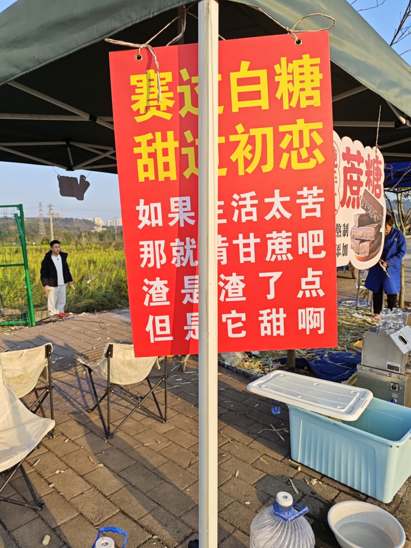 甘蔗