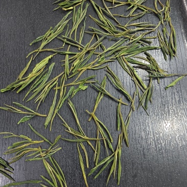 安吉白茶