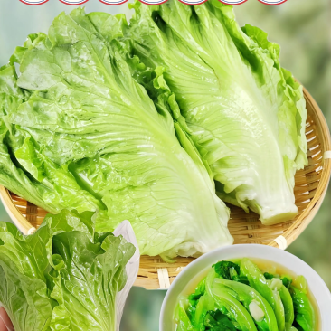 生鲜蔬菜