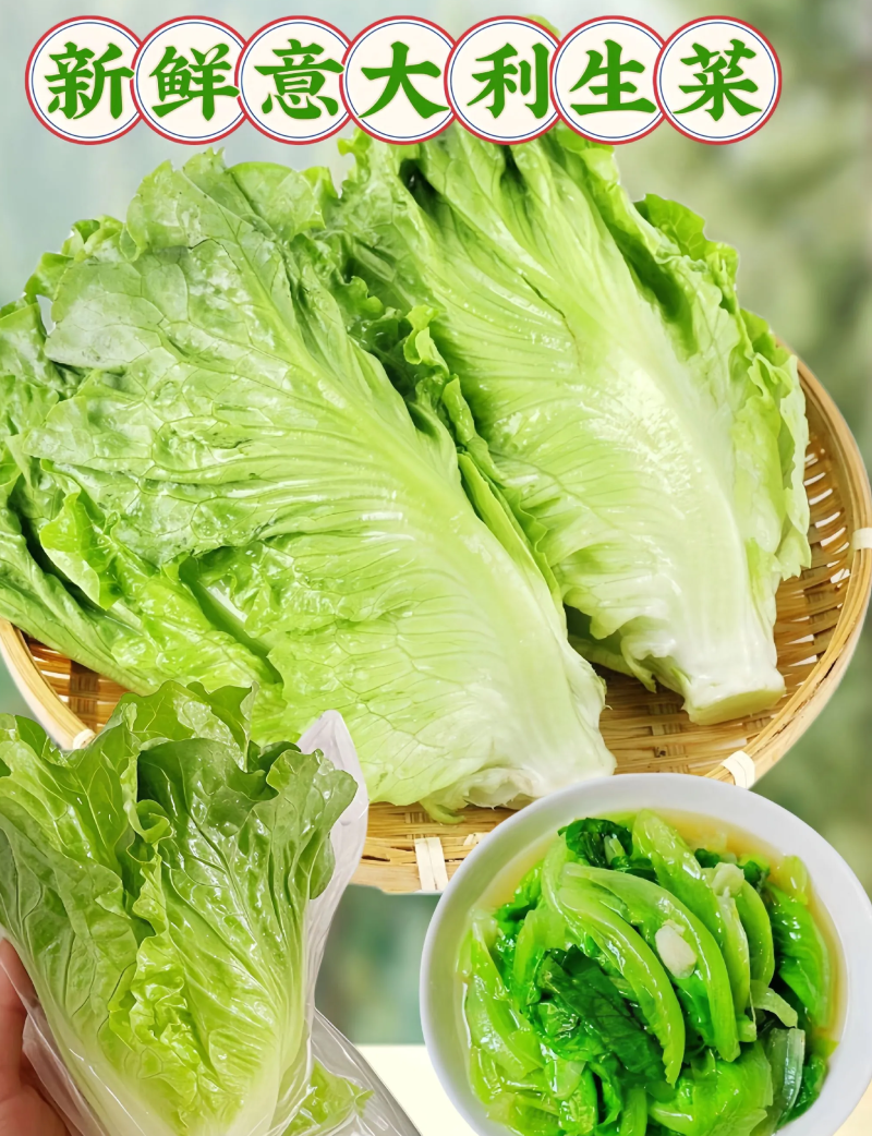 生鲜蔬菜