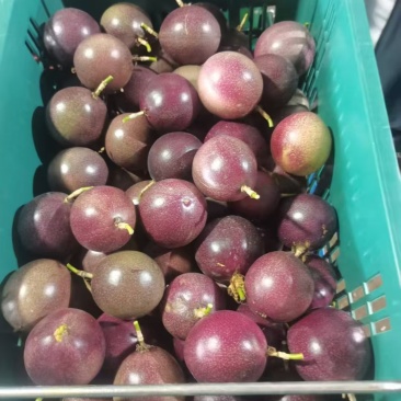 蜜桃百香果