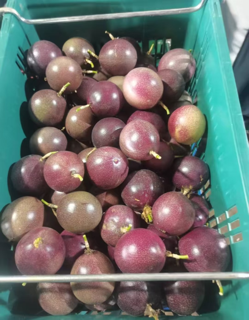 蜜桃百香果