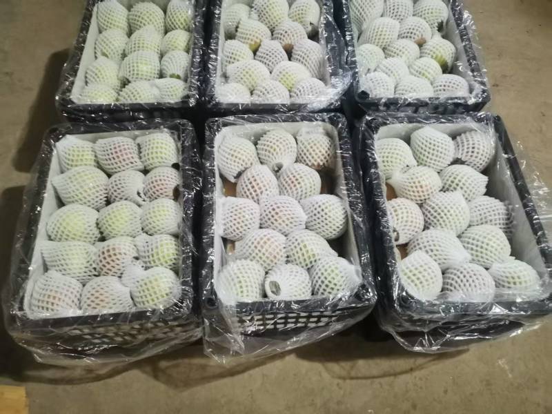 玉露香梨
