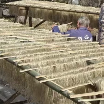 自家种植的纯正红薯粉条。