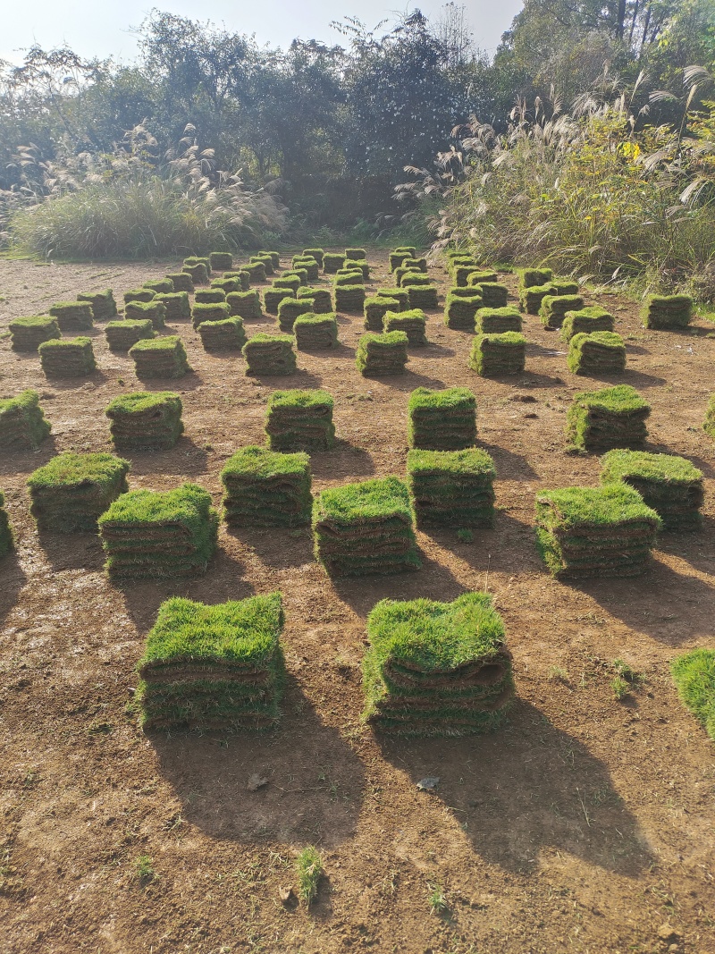 0.29x10x3